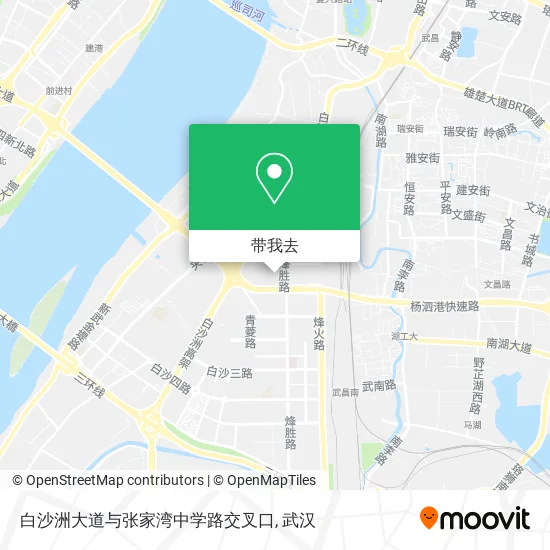 白沙洲大道与张家湾中学路交叉口地图