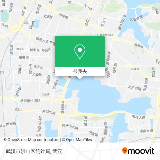 武汉市洪山区统计局地图