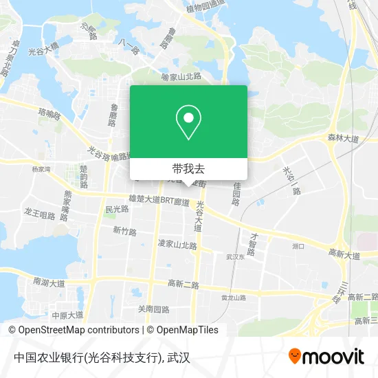 中国农业银行(光谷科技支行)地图