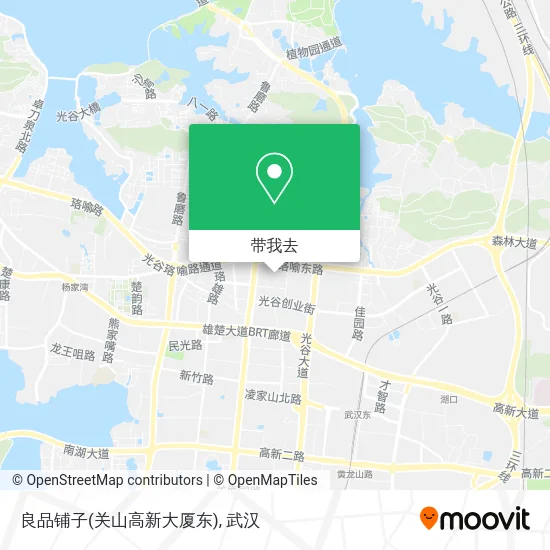 良品铺子(关山高新大厦东)地图