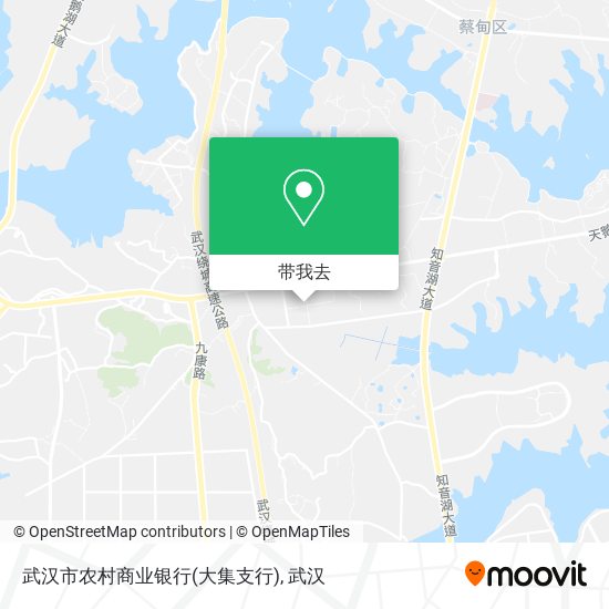 武汉市农村商业银行(大集支行)地图