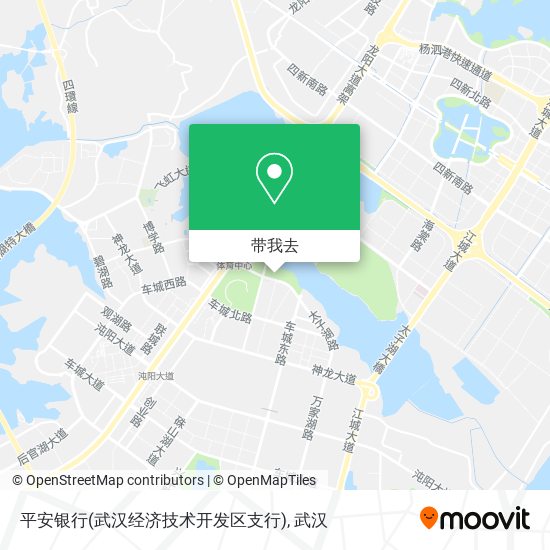 平安银行(武汉经济技术开发区支行)地图