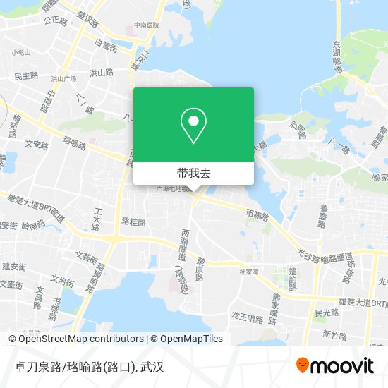 卓刀泉路/珞喻路(路口)地图