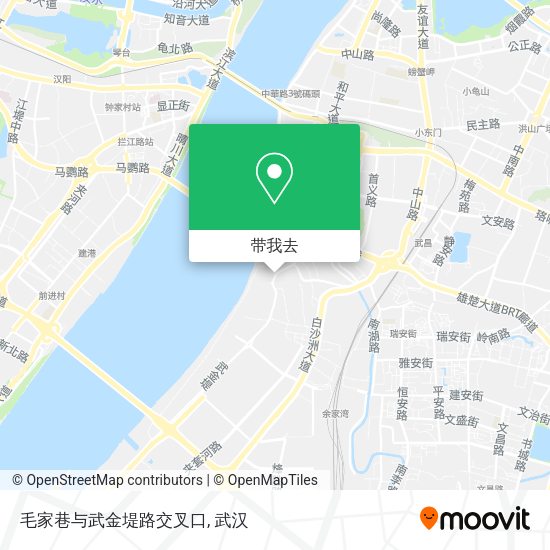 毛家巷与武金堤路交叉口地图