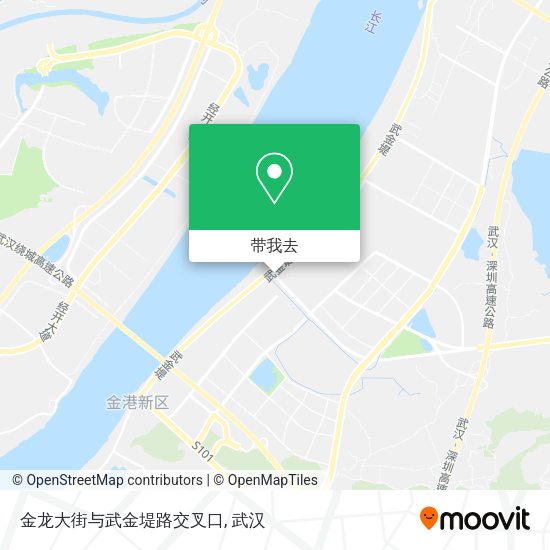 金龙大街与武金堤路交叉口地图