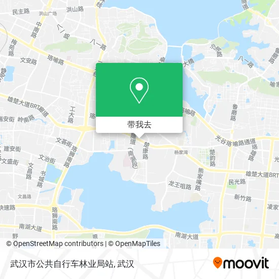 武汉市公共自行车林业局站地图