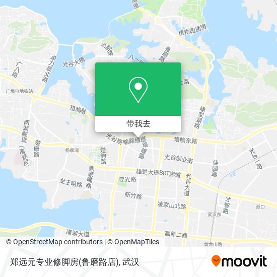 郑远元专业修脚房(鲁磨路店)地图