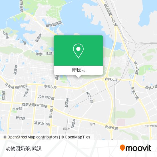 动物园奶茶地图