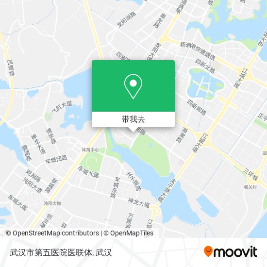 武汉市第五医院医联体地图