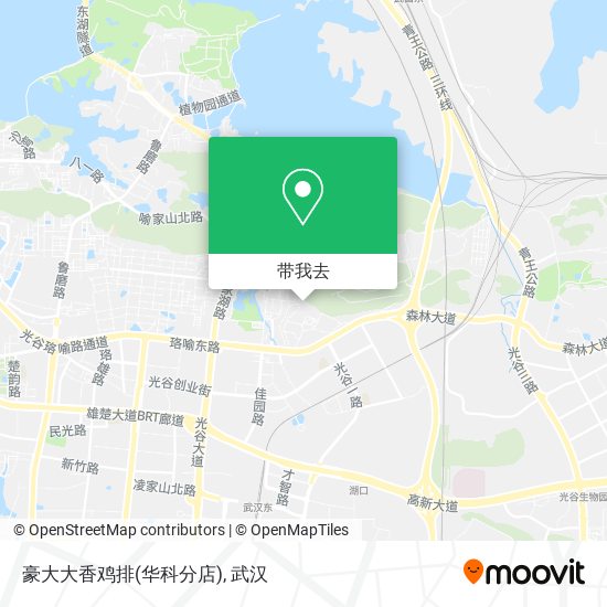 豪大大香鸡排(华科分店)地图