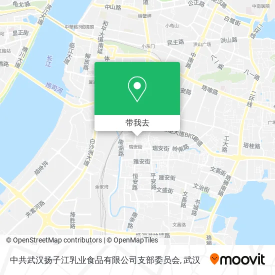 中共武汉扬子江乳业食品有限公司支部委员会地图
