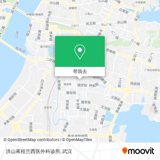洪山蒋桂兰西医外科诊所地图