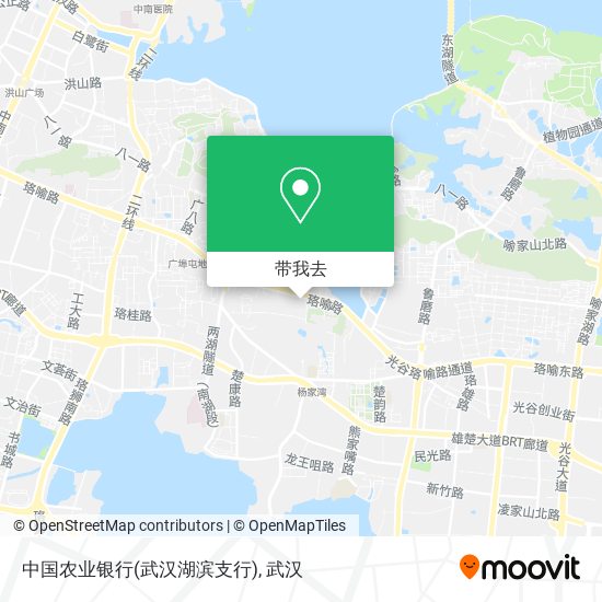 中国农业银行(武汉湖滨支行)地图