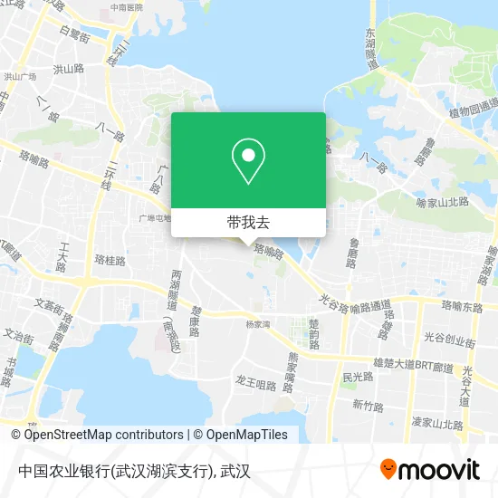 中国农业银行(武汉湖滨支行)地图