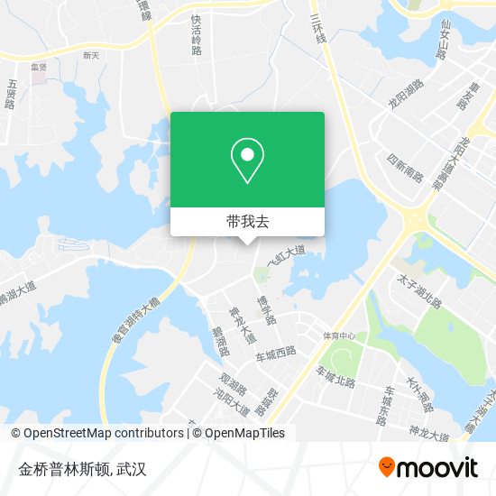 金桥普林斯顿地图