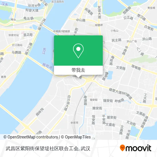武昌区紫阳街保望堤社区联合工会地图