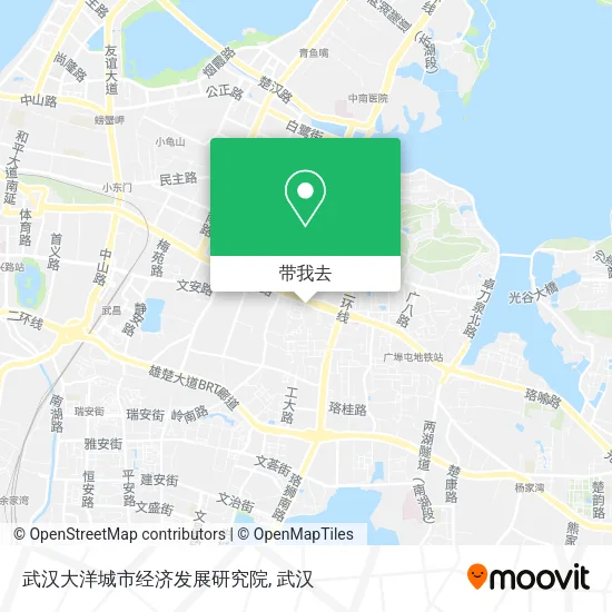武汉大洋城市经济发展研究院地图