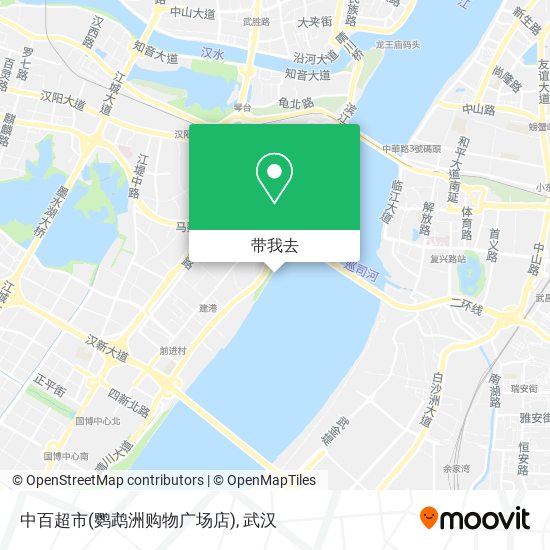 中百超市(鹦鹉洲购物广场店)地图