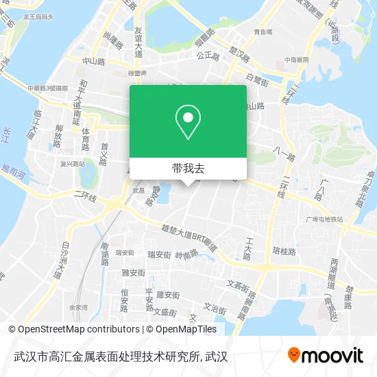 武汉市高汇金属表面处理技术研究所地图