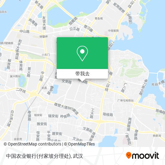 中国农业银行(付家坡分理处)地图