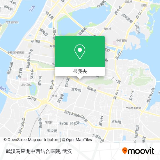 武汉马应龙中西结合医院地图