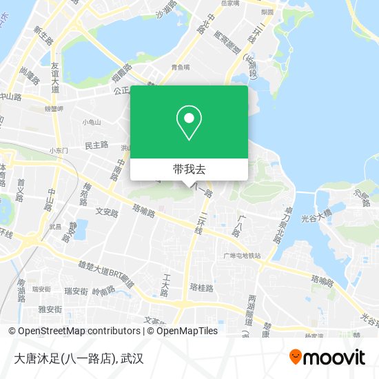 大唐沐足(八一路店)地图