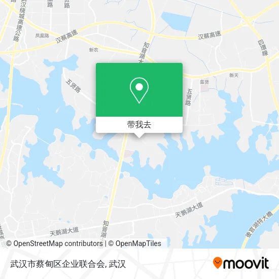 武汉市蔡甸区企业联合会地图