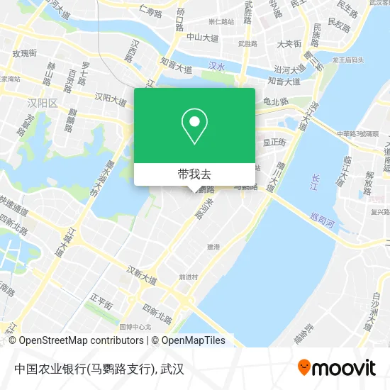 中国农业银行(马鹦路支行)地图