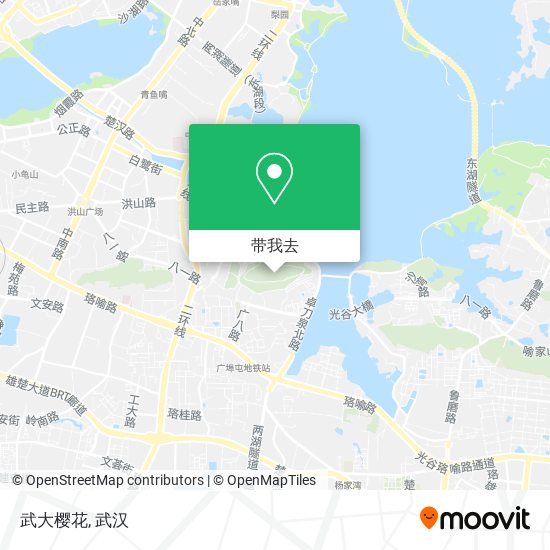 武大樱花地图