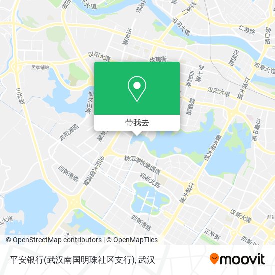 平安银行(武汉南国明珠社区支行)地图