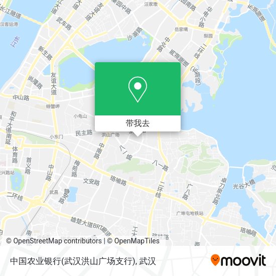 中国农业银行(武汉洪山广场支行)地图