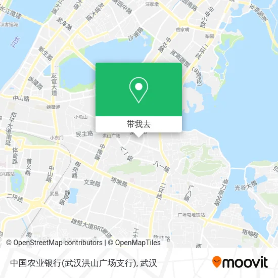 中国农业银行(武汉洪山广场支行)地图