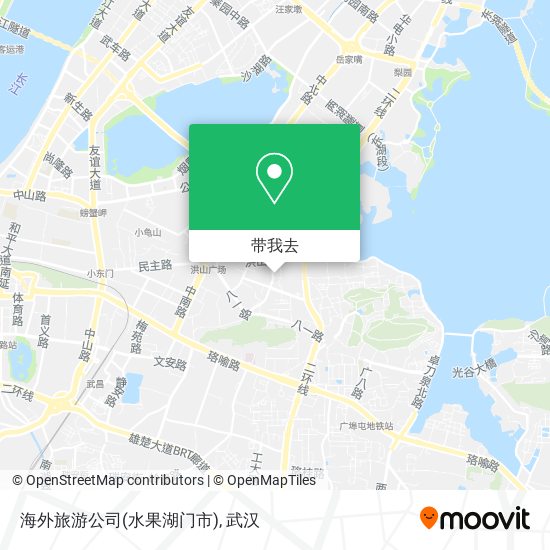 海外旅游公司(水果湖门市)地图
