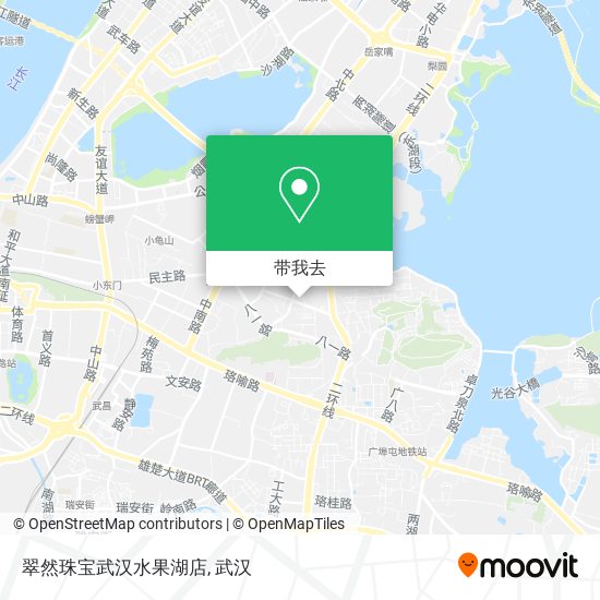翠然珠宝武汉水果湖店地图