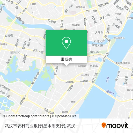 武汉市农村商业银行(墨水湖支行)地图