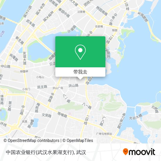 中国农业银行(武汉水果湖支行)地图