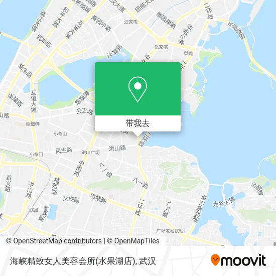 海峡精致女人美容会所(水果湖店)地图