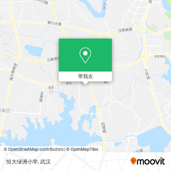 恒大绿洲小学地图