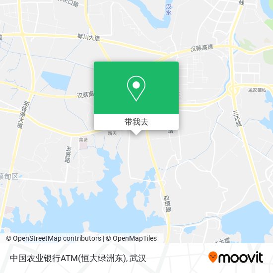 中国农业银行ATM(恒大绿洲东)地图