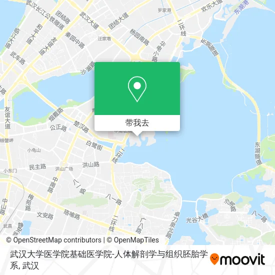 武汉大学医学院基础医学院-人体解剖学与组织胚胎学系地图