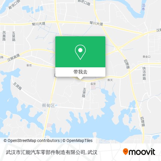 武汉市汇能汽车零部件制造有限公司地图