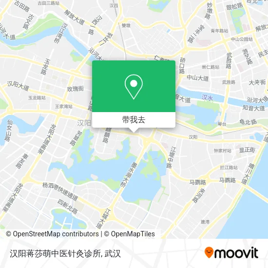 汉阳蒋莎萌中医针灸诊所地图