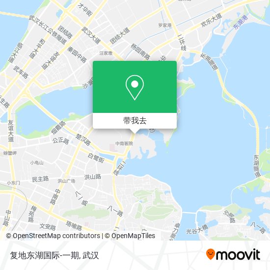 复地东湖国际-一期地图