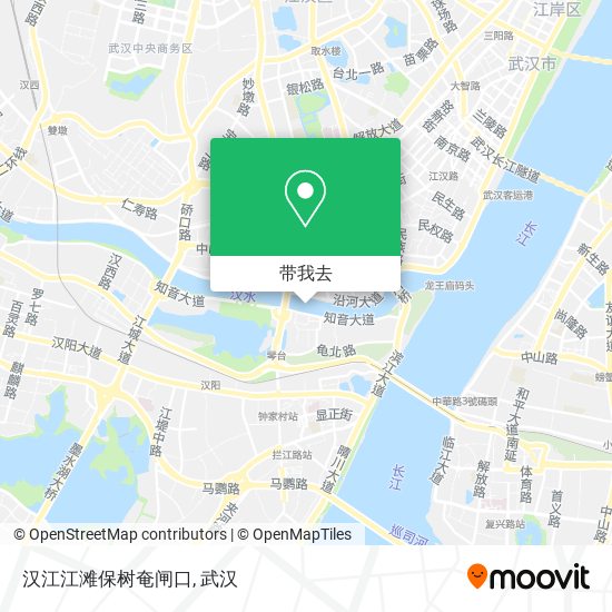 汉江江滩保树奄闸口地图