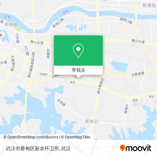 武汉市蔡甸区新农环卫所地图