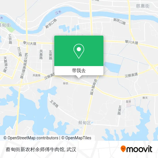 蔡甸街新农村余师傅牛肉馆地图