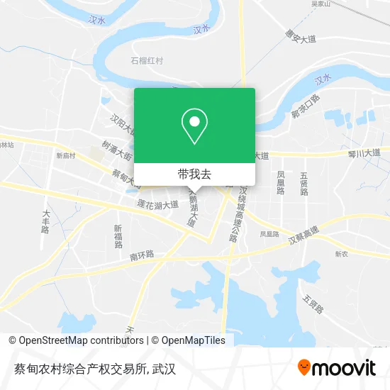 蔡甸农村综合产权交易所地图