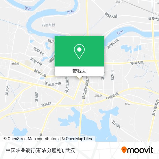 中国农业银行(新农分理处)地图