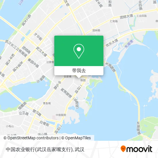 中国农业银行(武汉岳家嘴支行)地图