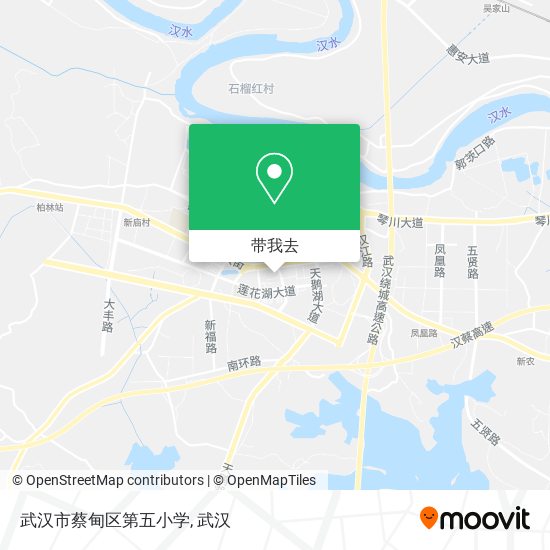 武汉市蔡甸区第五小学地图